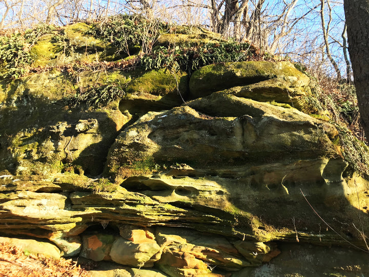 Outcroppings in The Driftless Area of Wisconsin, an area never glaciated.